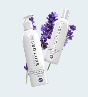 Massage Oil - Lavender